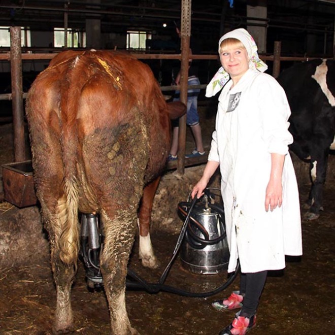 Татьяна Зарубина освоила  профессию доярки на семейной ферме