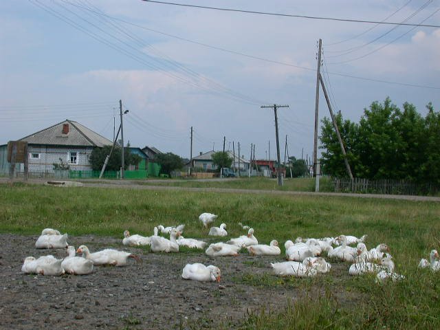 Село аромашево тюменской области фото