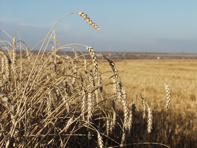 Карта медведево голышмановский район